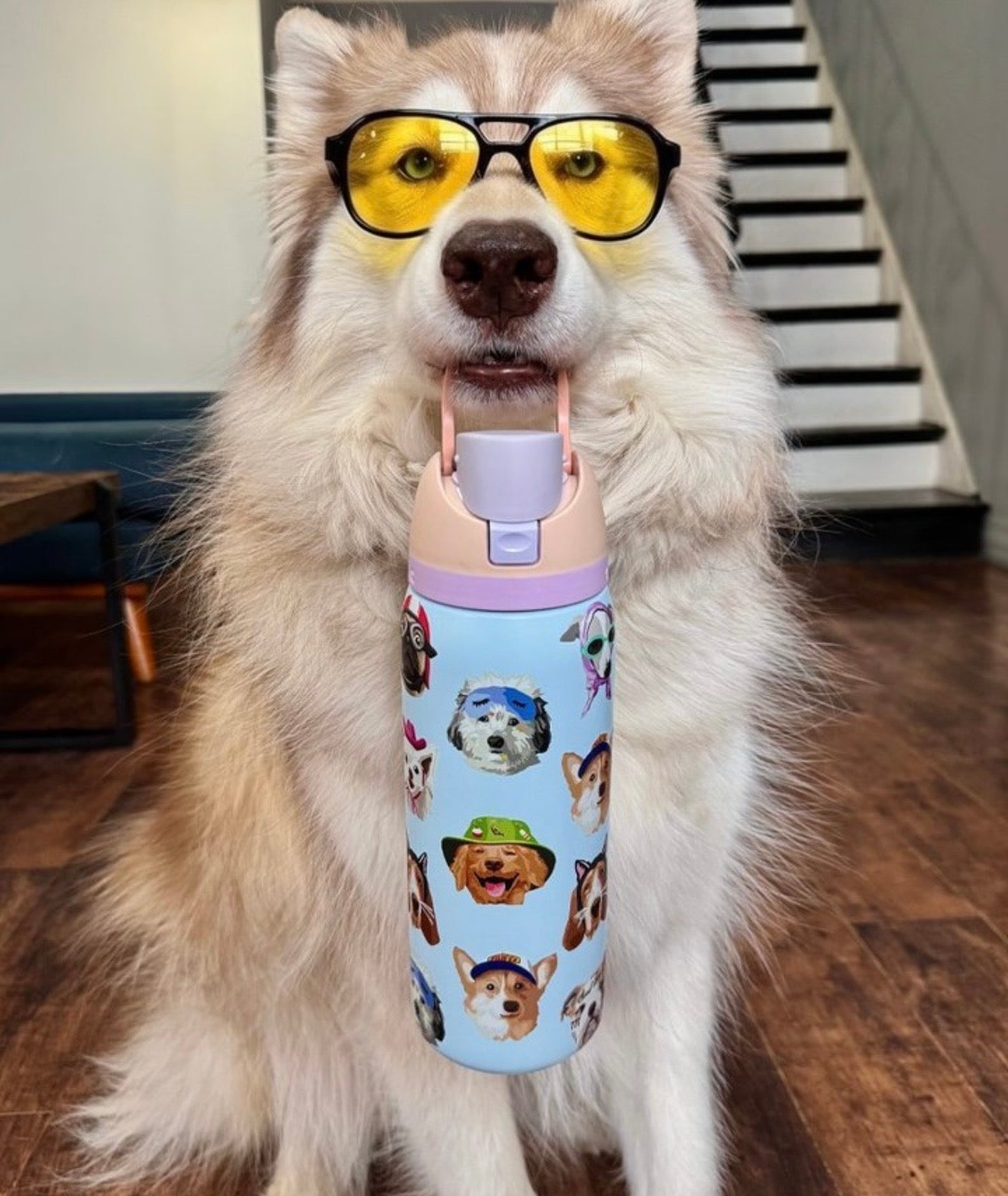 Exclusive Owala Bote de Agua 32 oz