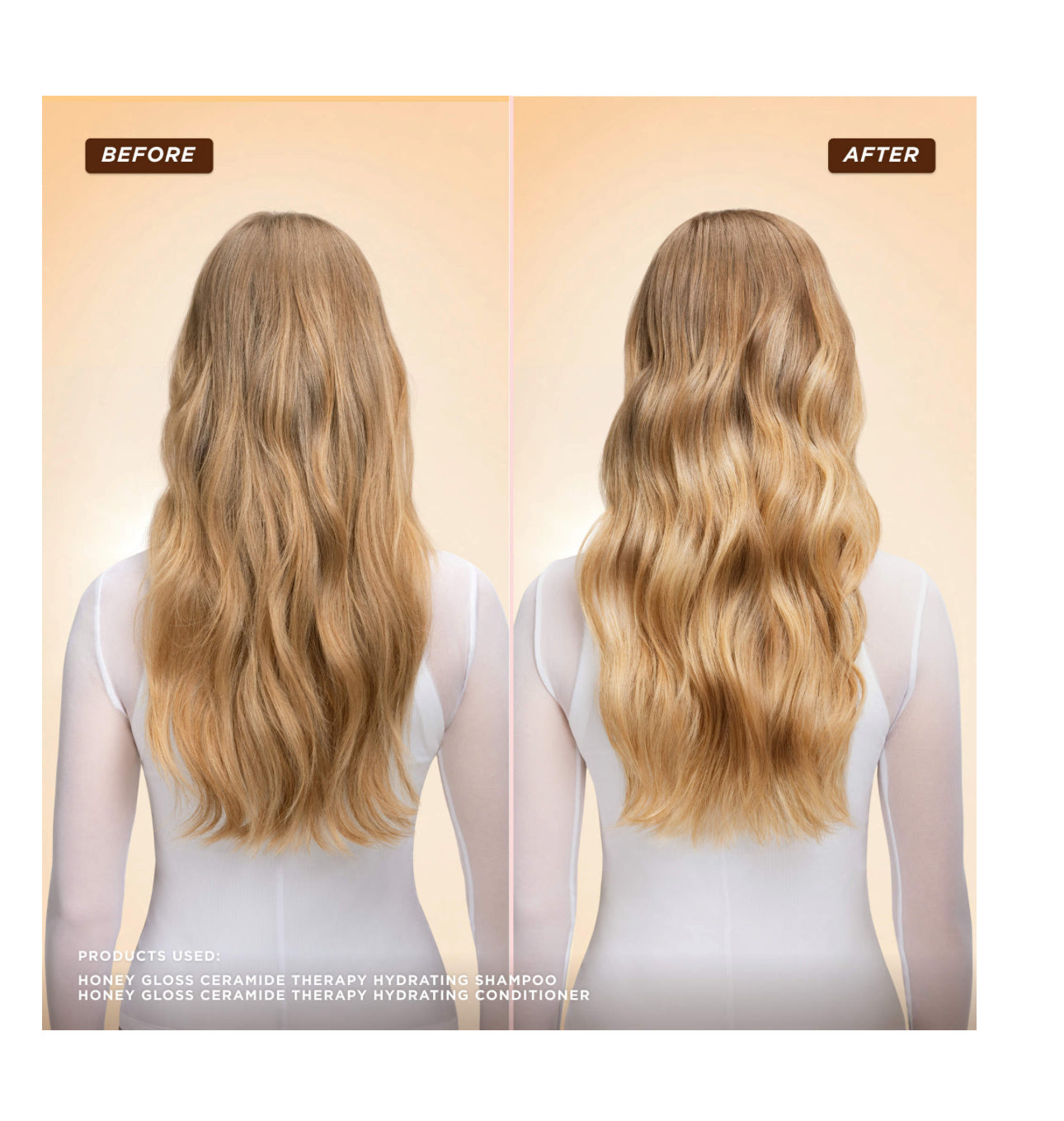 Honey Gloss Ceramide Therapy Hydrating Shampoo