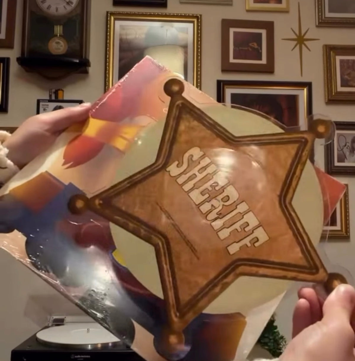 Edición limitada Taylor Swift Vinyl