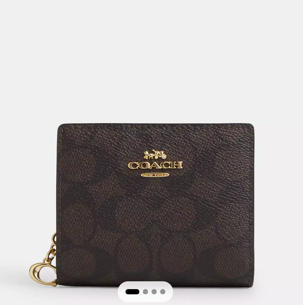 Snap Wallet In Signature