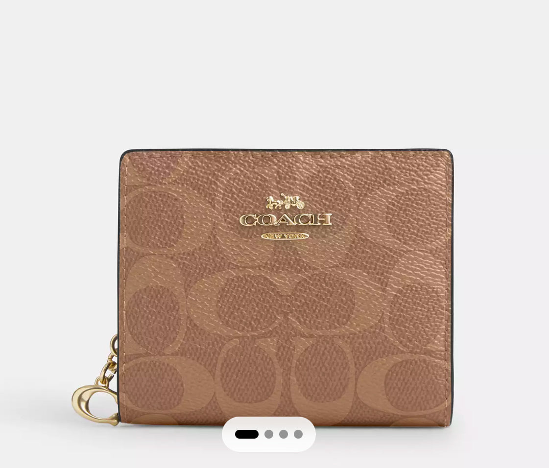 Snap Wallet In Signature