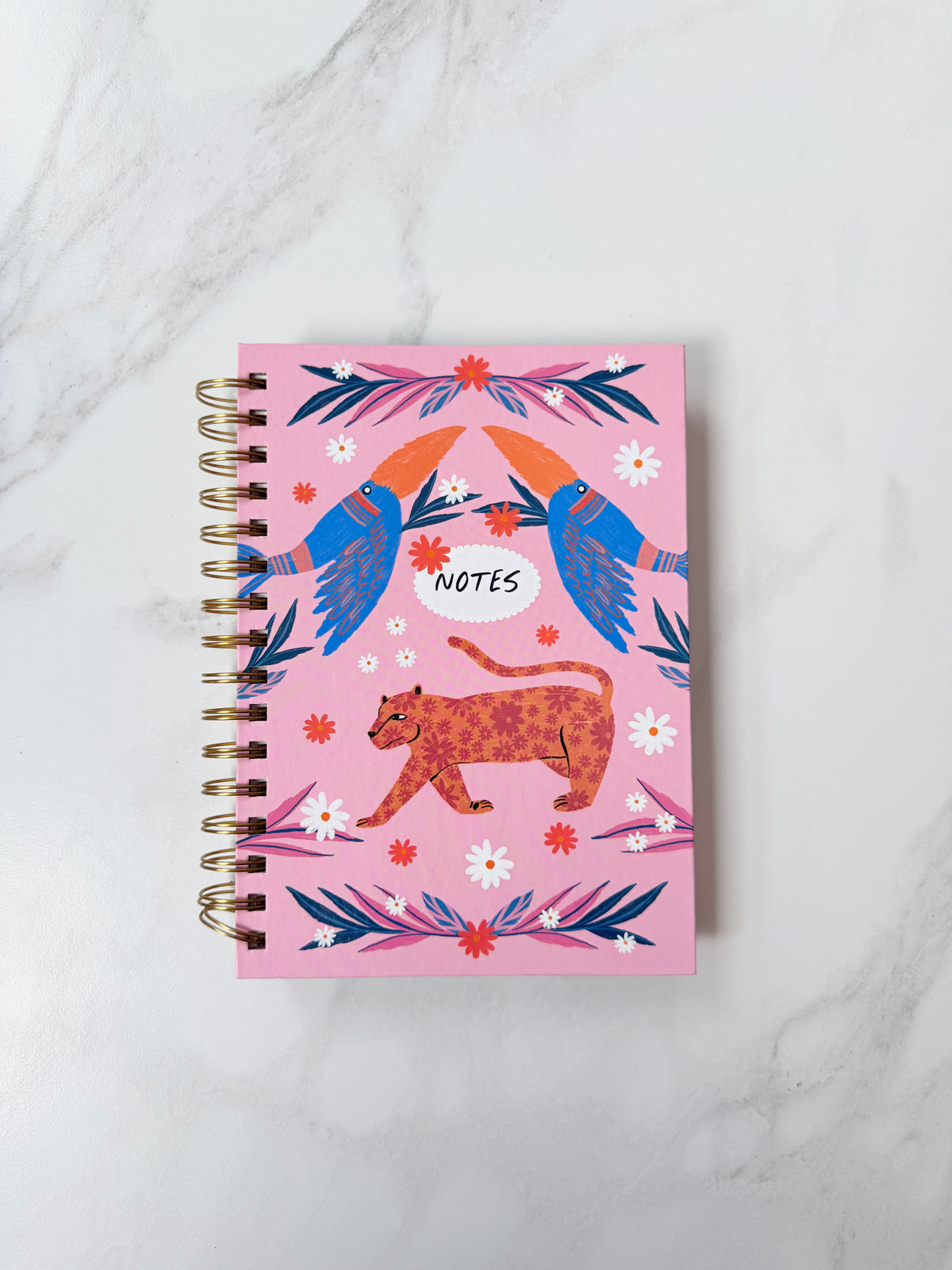 Libreta Notas