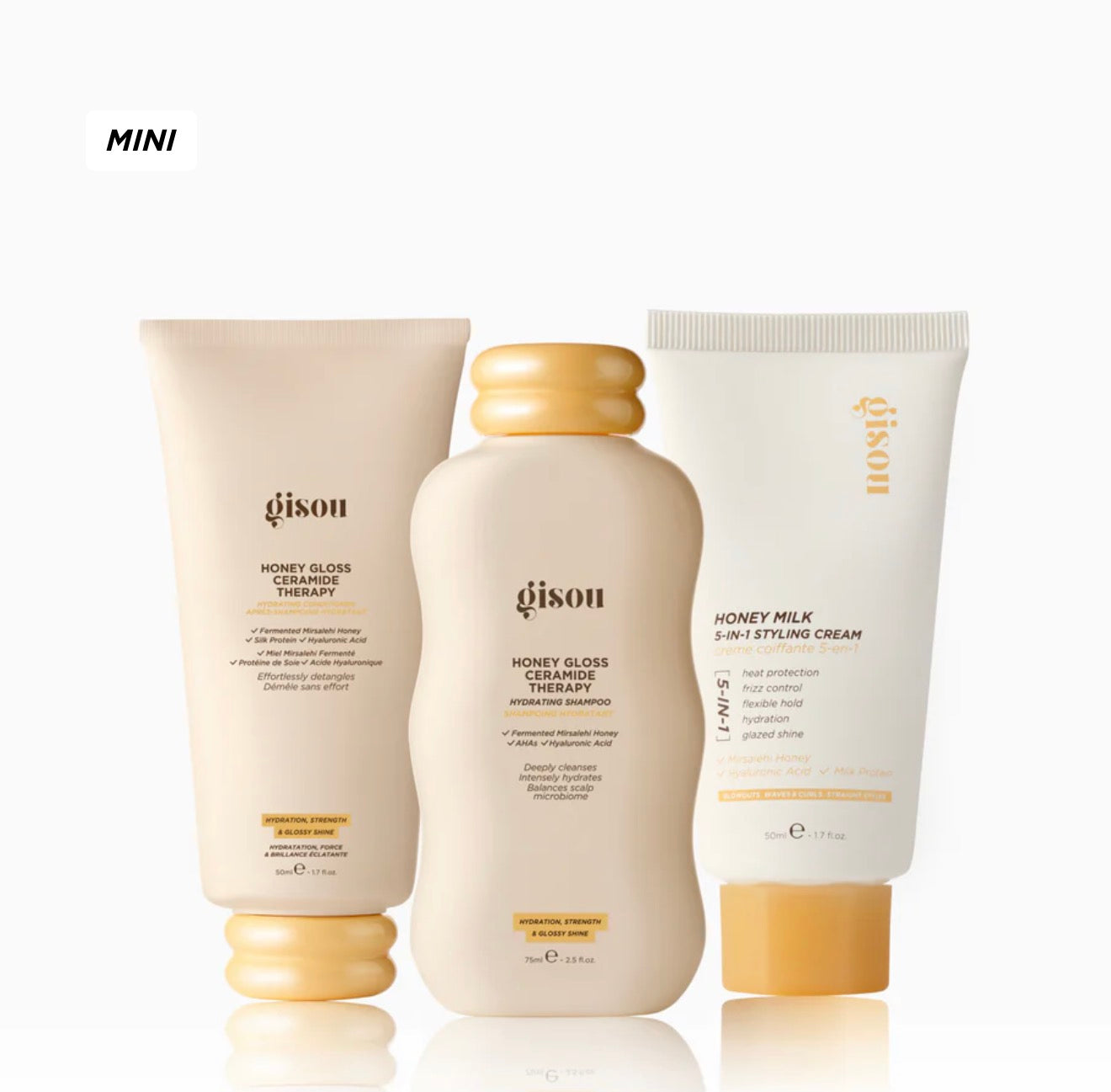 GLOSS & GO STYLING KIT